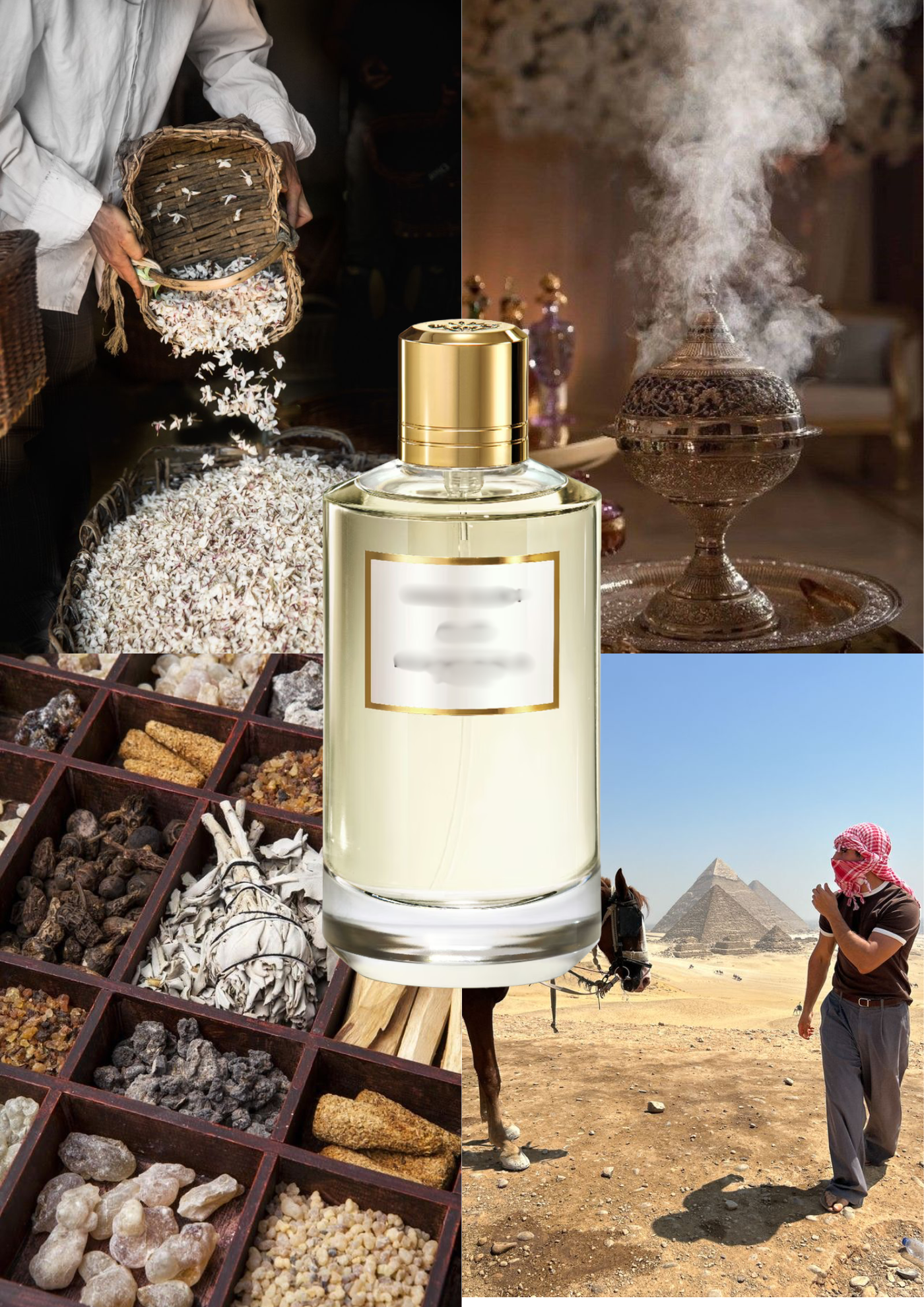 Trendnich -224 ( Hindu Kush )