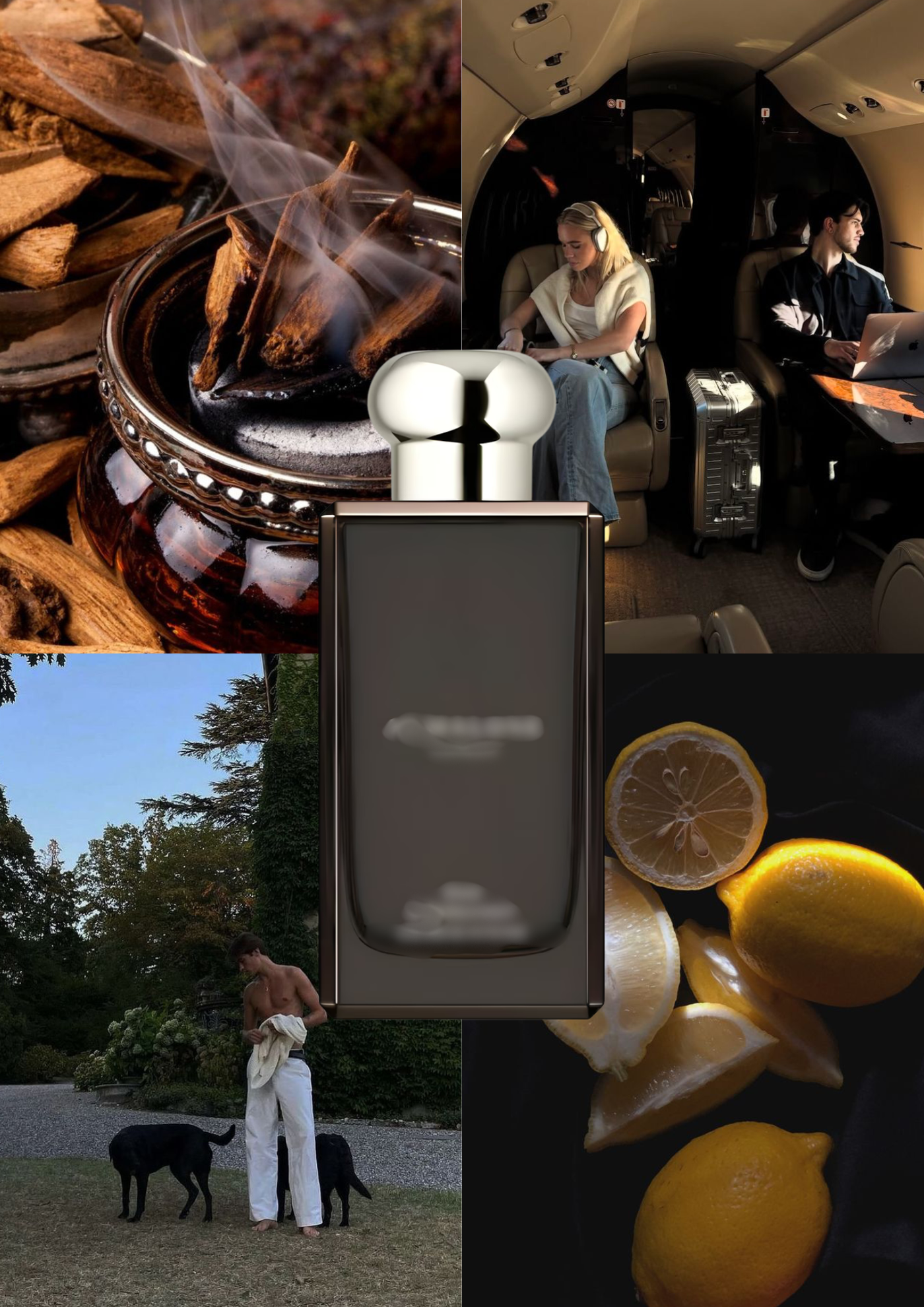 Trendnich -221 ( Cologne Intense Out & Bergomot )