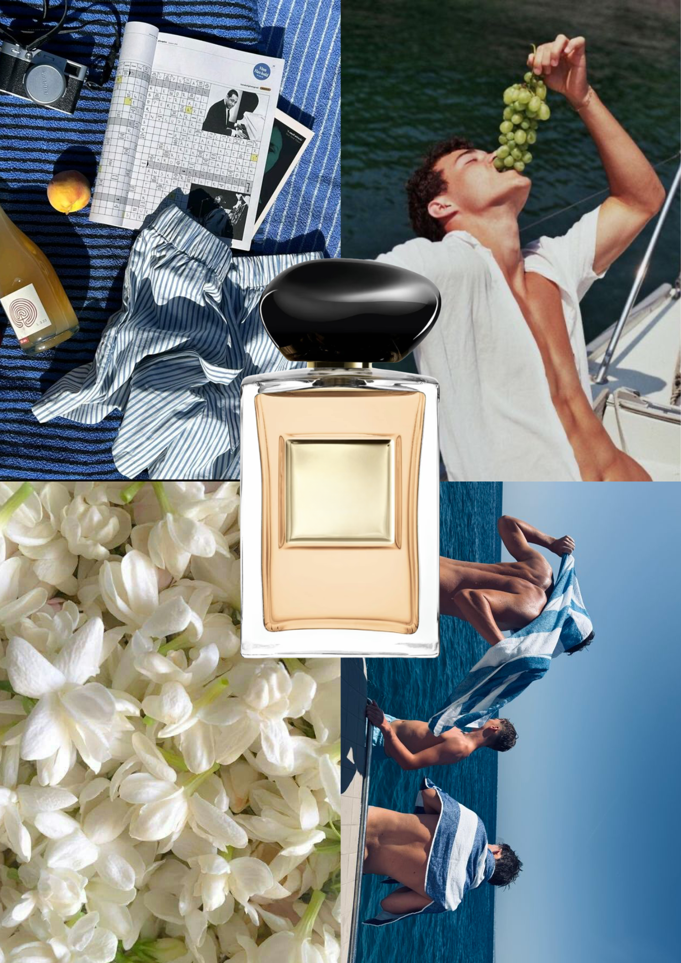 Trendnich - 216 ( Gardenia Antigua )