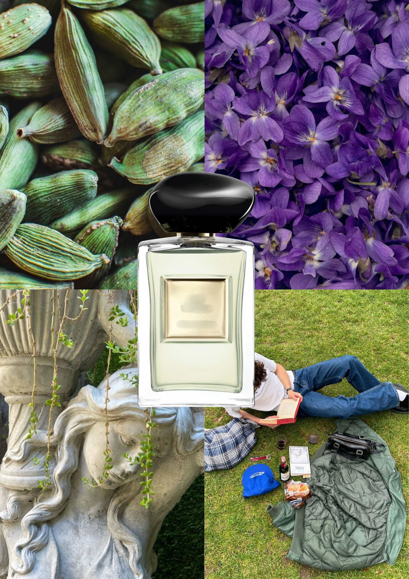 Trendnich - 215 (Thé Yulong )