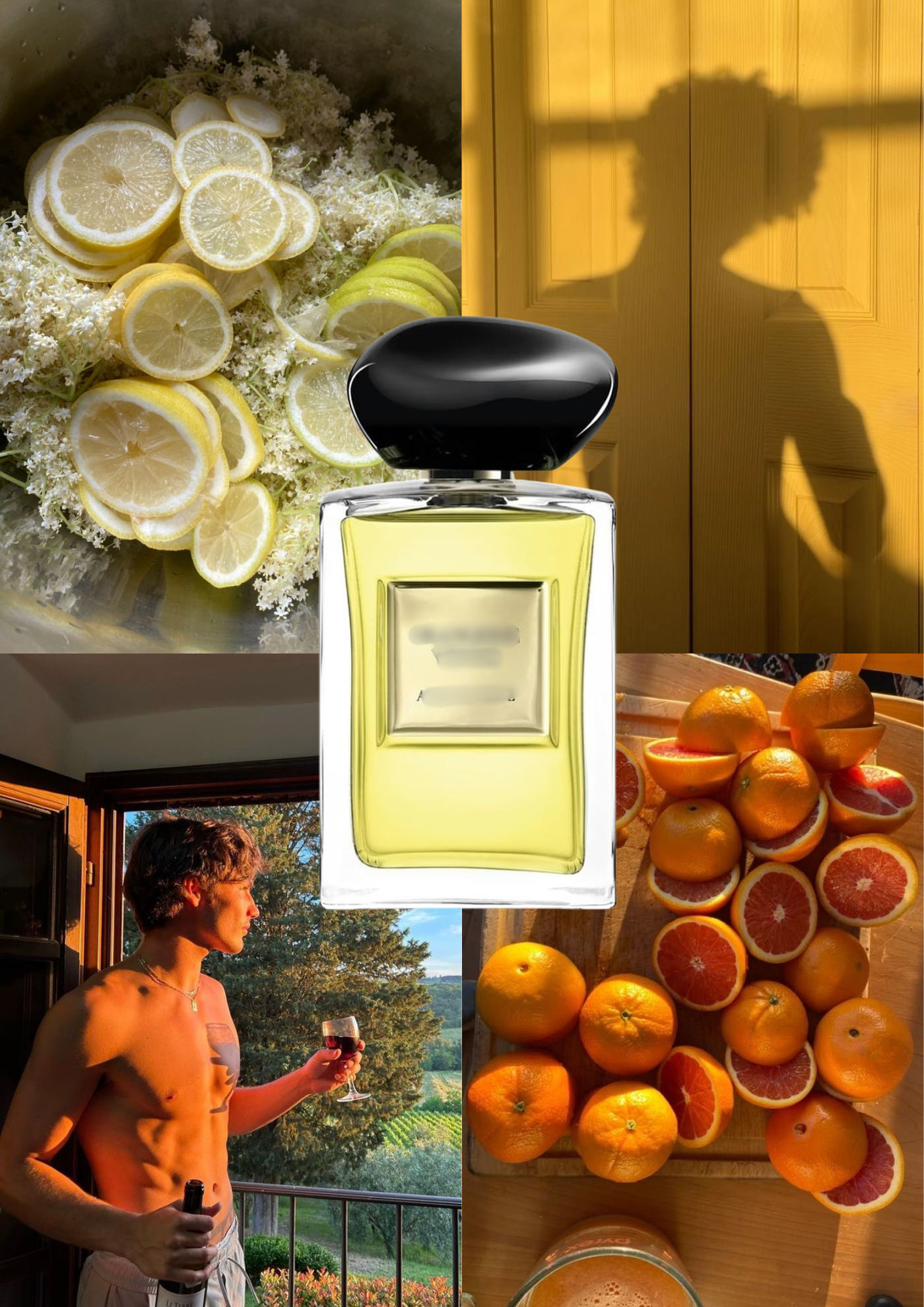 Trendnich -211 ( Orangerie Venise )