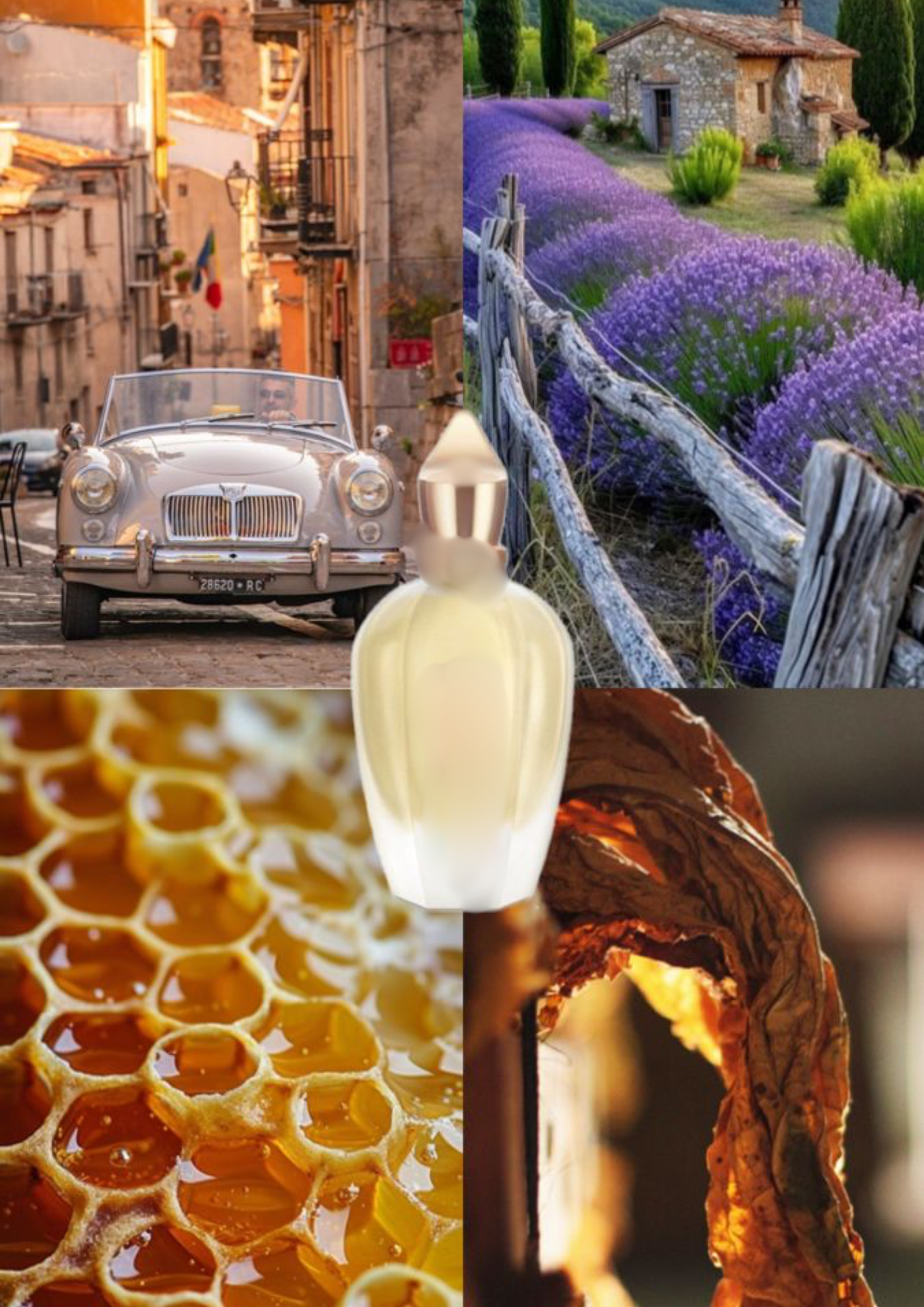 Trendnich - 201 ( 1861 Naxos )