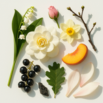 Trendnich - 120 (Central Park West )