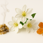 Trendnich -233 ( La Collection Prive New Look 1947 )