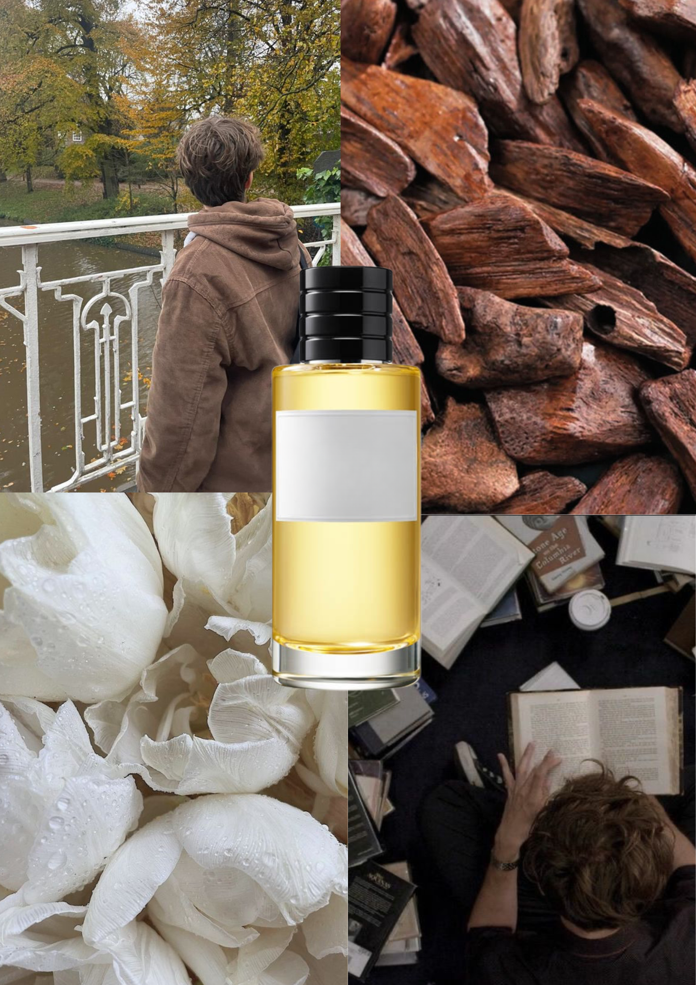 Trendnich -231 ( Bois d'argent )