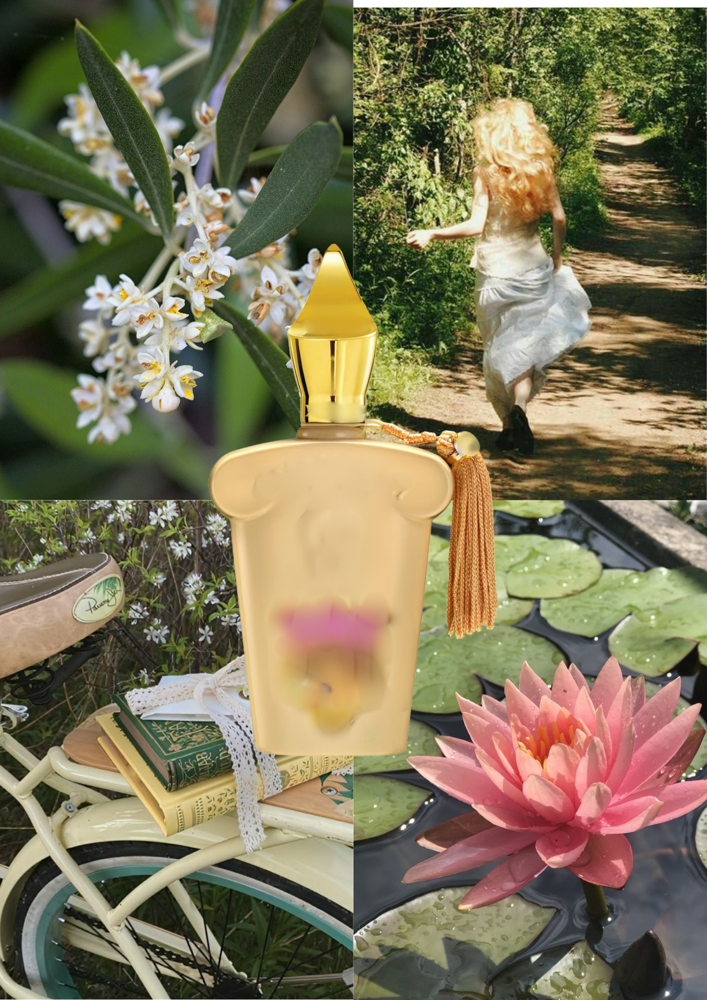 Trendnich -199 ( Fiore d'ulivo )