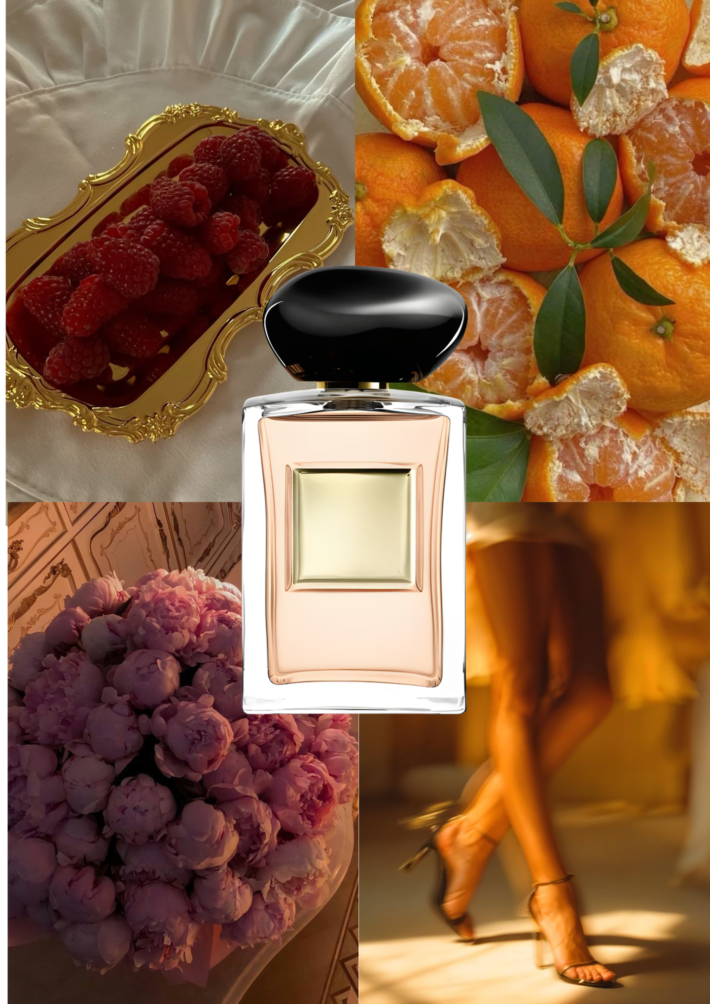 Trendnich -218 ( Pivoine Suzou )