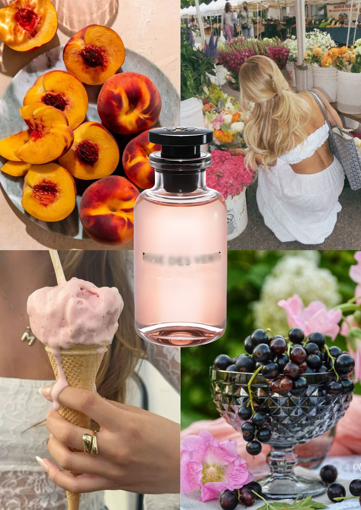 Trendnich - 228 ( Rose Des Vent )