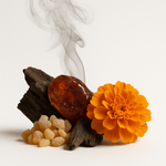 Trendnich -102 ( Interlude Women )